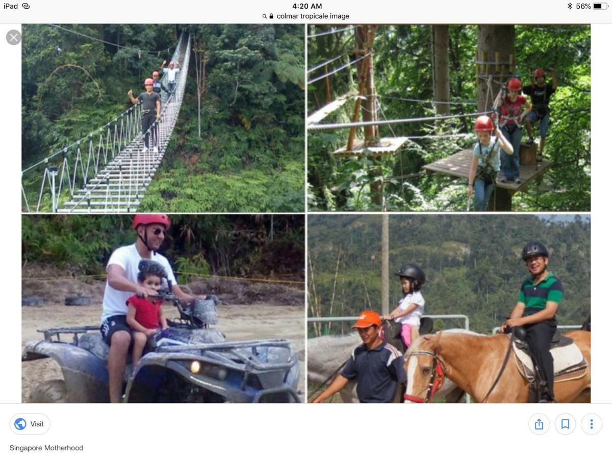 Bukit Tinggi Berjaya Hill Homestay Ngoại thất bức ảnh