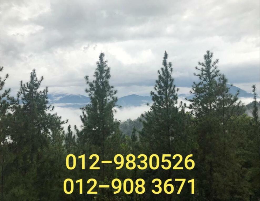 Bukit Tinggi Berjaya Hill Homestay Ngoại thất bức ảnh